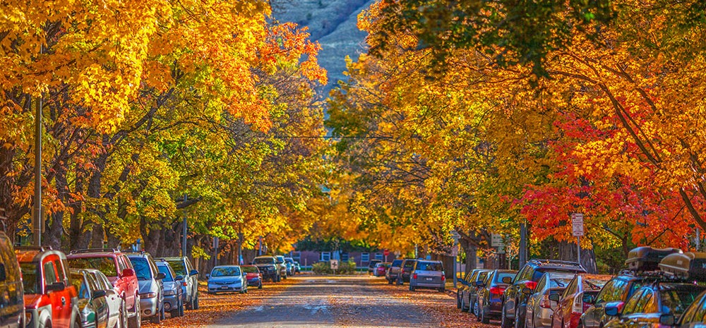 The University District fall colors near Downtown Missoula