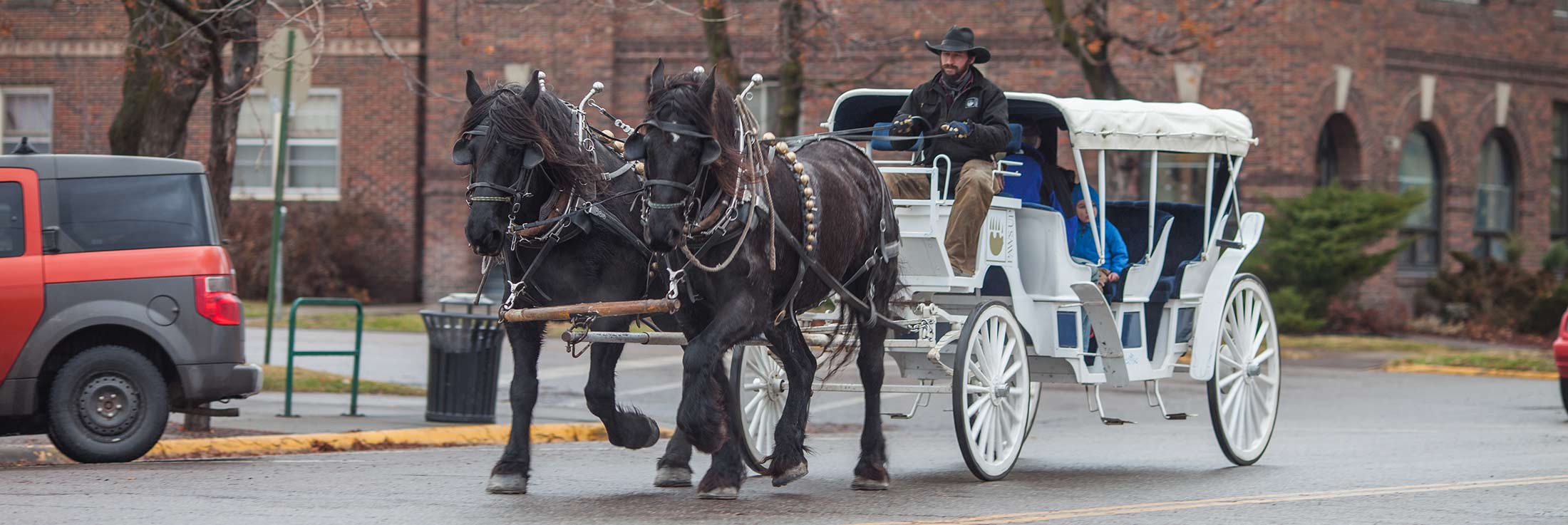 Carriage Rides in Downtown Missoula