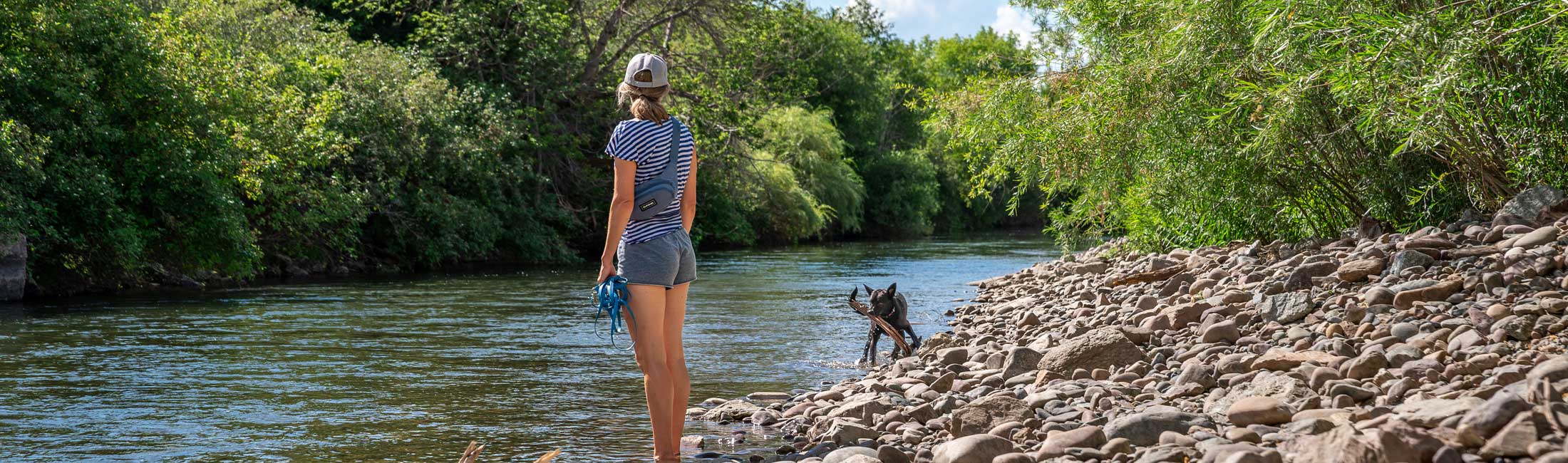 Explore Jacobs Island Bark Park