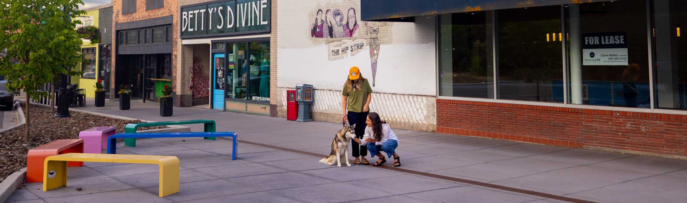 Take Your Pet Shopping