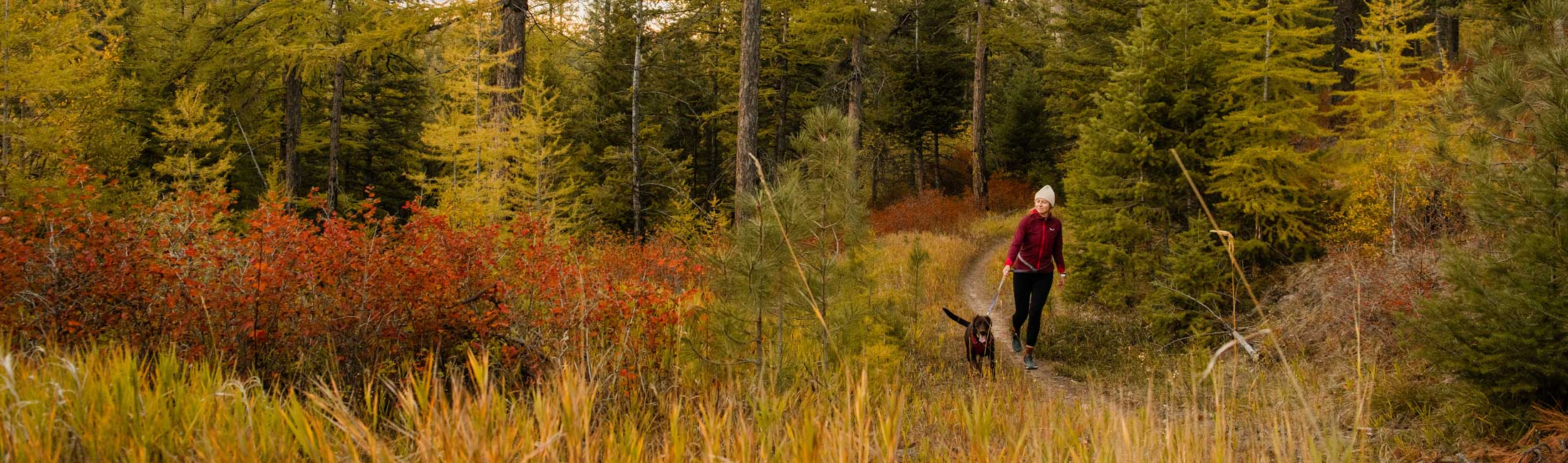 Explore Blue Mountain Recreation Area