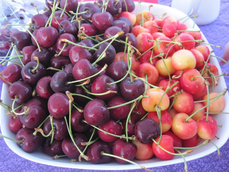 Flathead Cherries