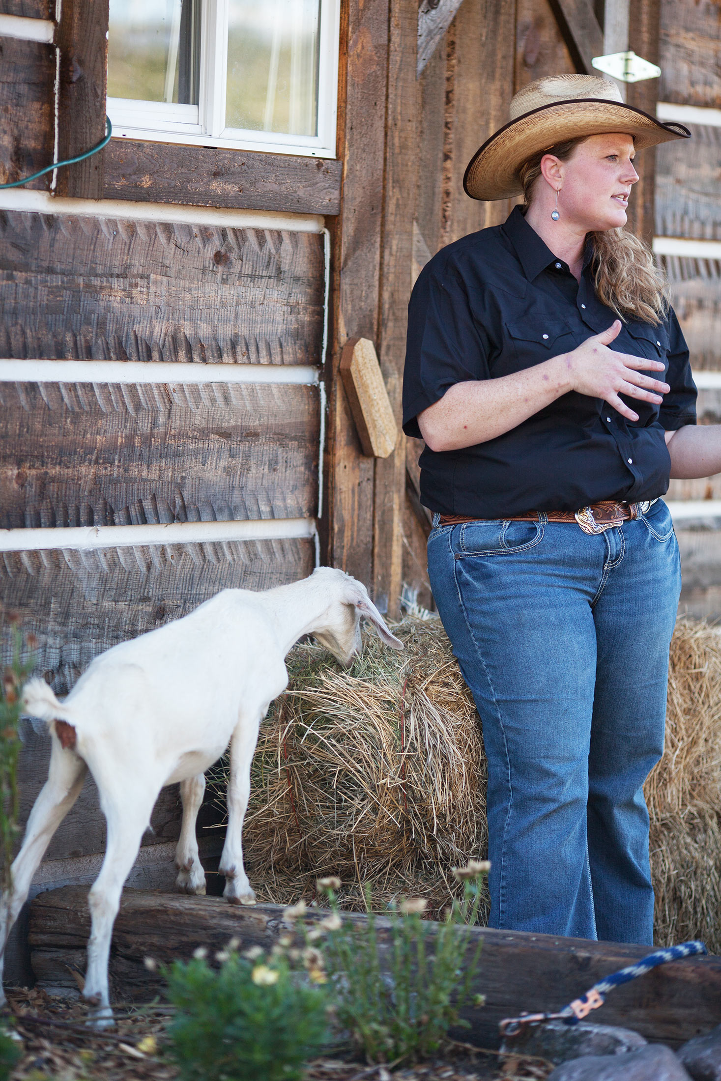 Nibs the goat at Z5 Ranch