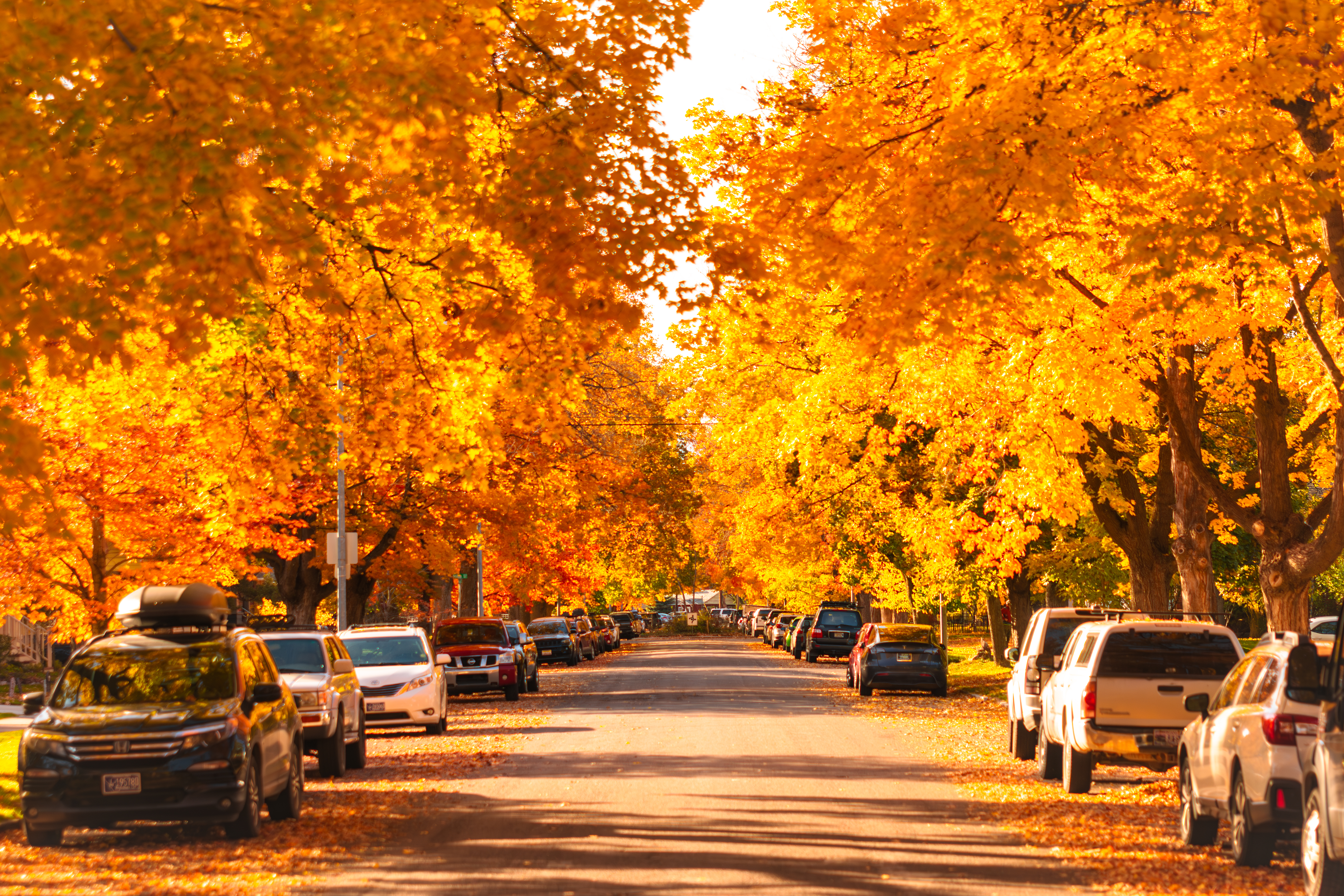 Top 10 Places to View the Fall Foliage in Missoula