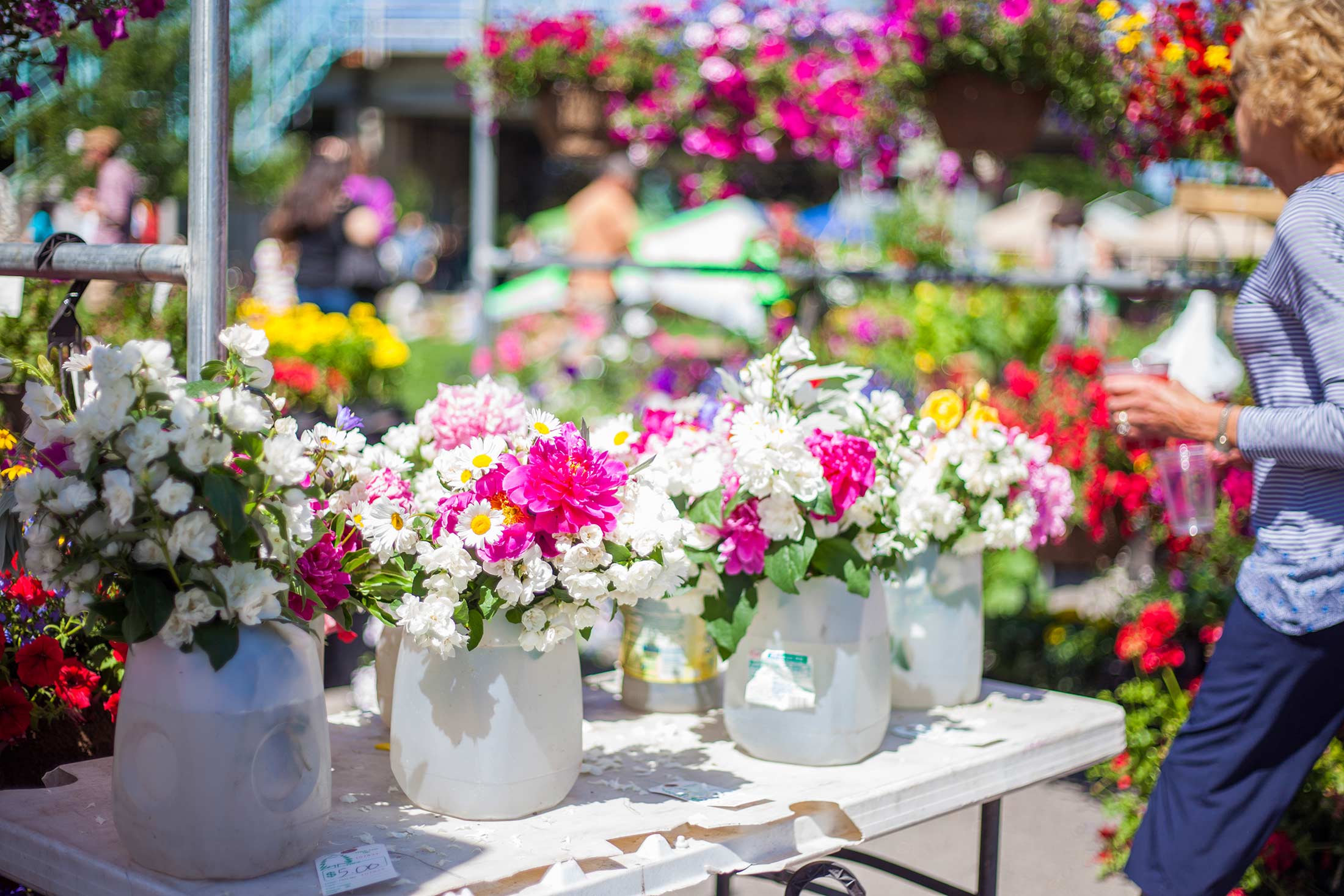 Flowers at the Missoula Farmers Market