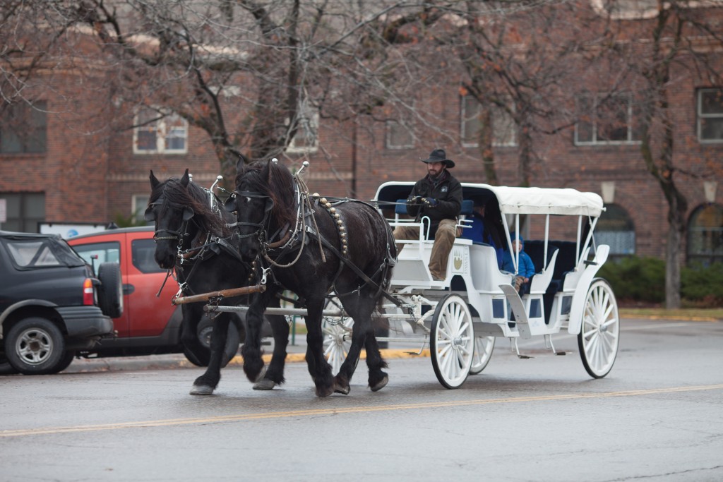 Carriage Rides Missoula 