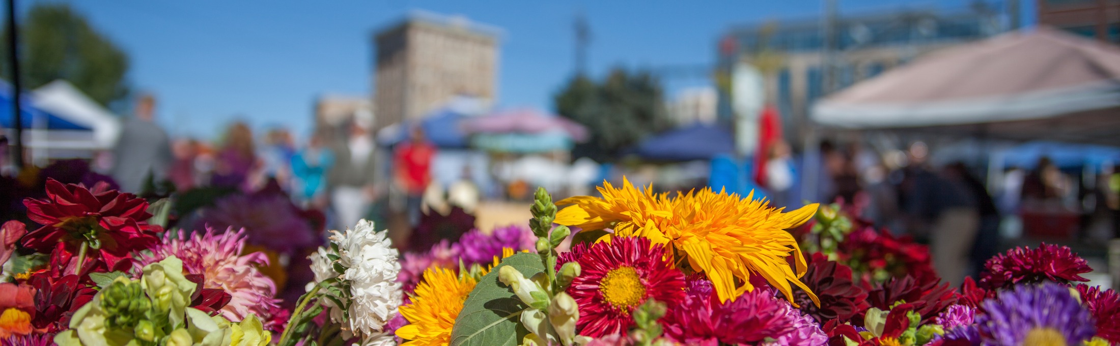 10 Best Cities for Singles 2017 includes Missoula, MT