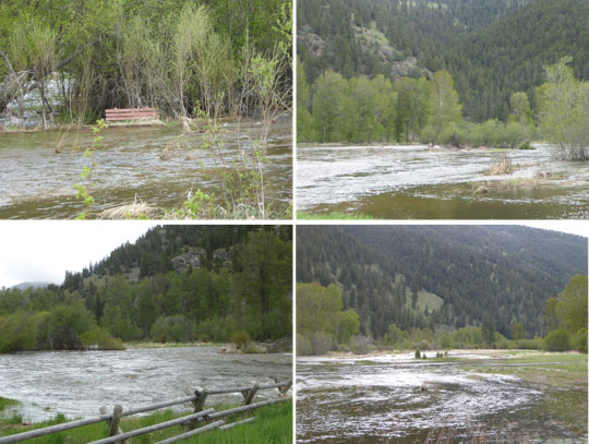 Rock Cree Overflowing Its Channel 