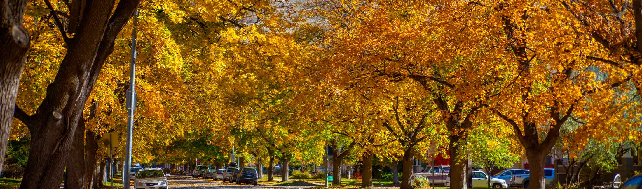 Your Perfect Fall Day In Missoula