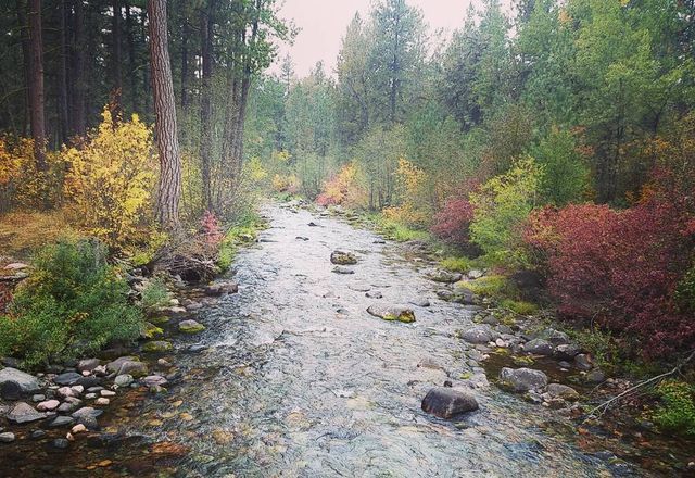 rattlesnake creek in fall 2