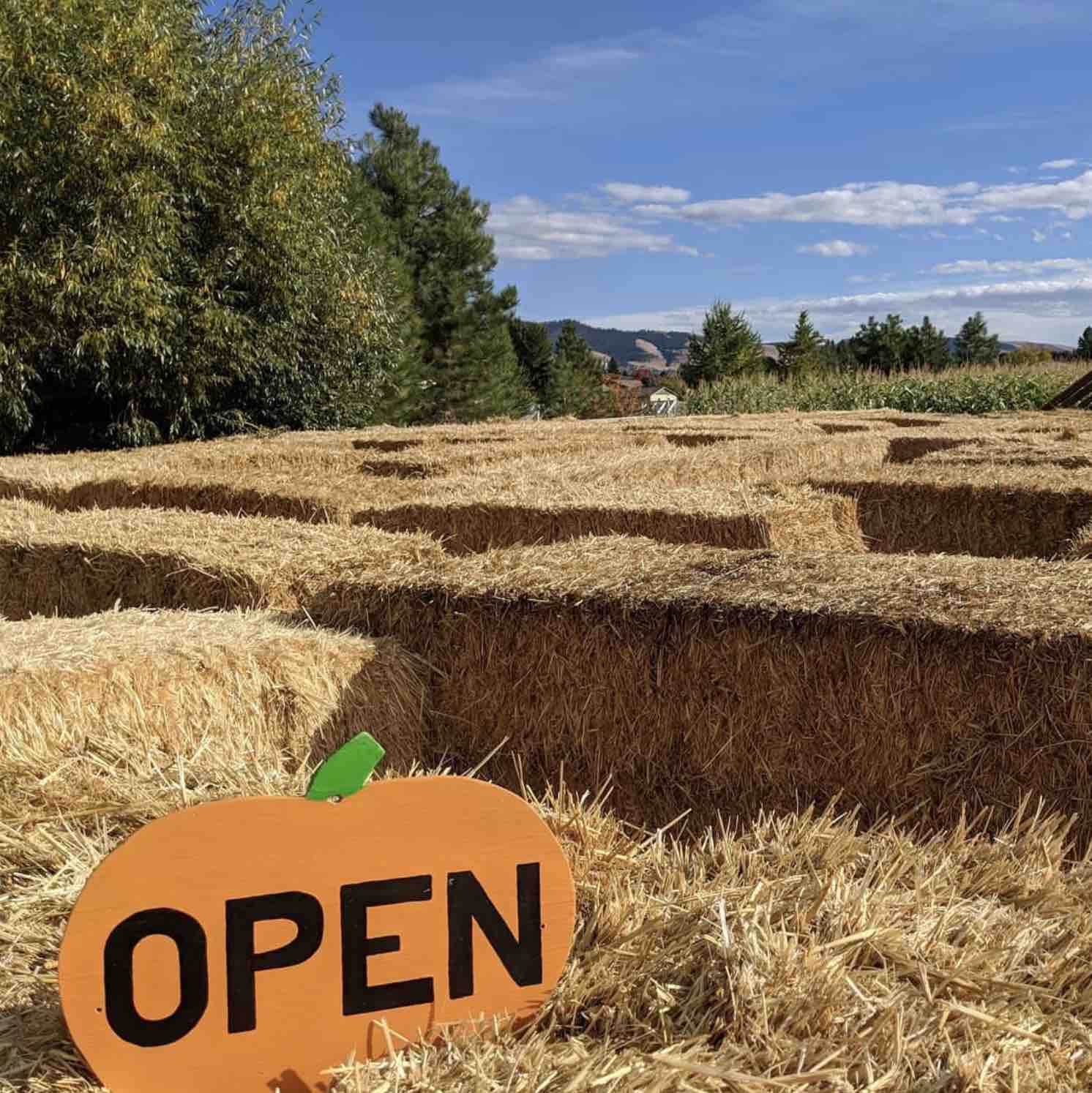 The Missoula Maze in the fall  has a hay maze, corn maze, pumpkin patch and more.