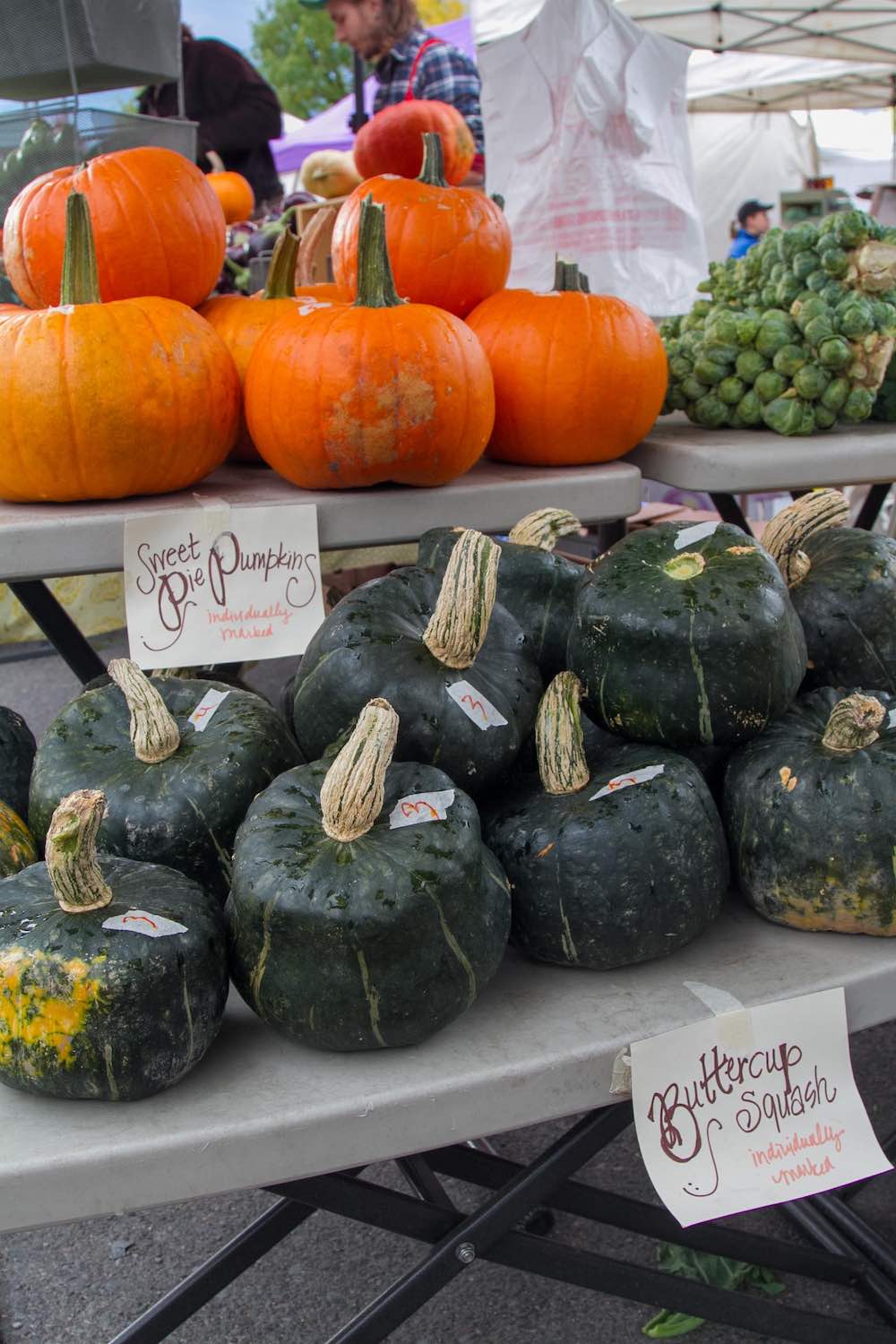 Fall pumpkins and buttercup squash at the Missoula Farmers Markets