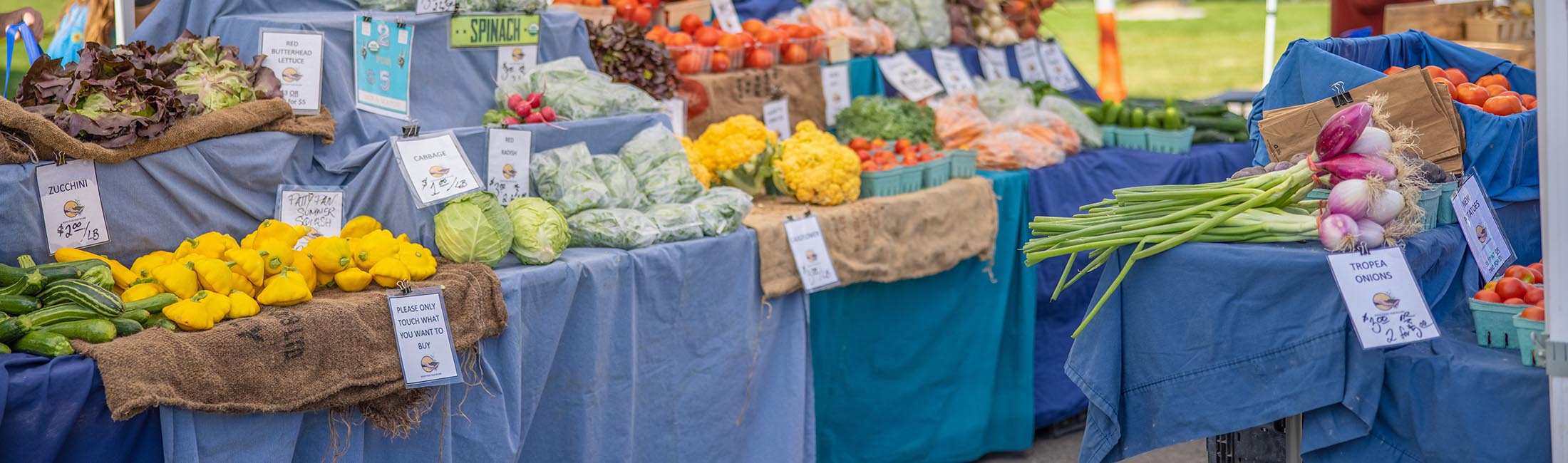 Everything You Need to Know About the Farmers Markets in Missoula