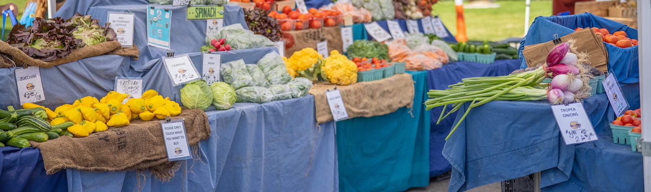 Booths Corner Farmers Market - All You Need to Know BEFORE You Go (with  Photos)