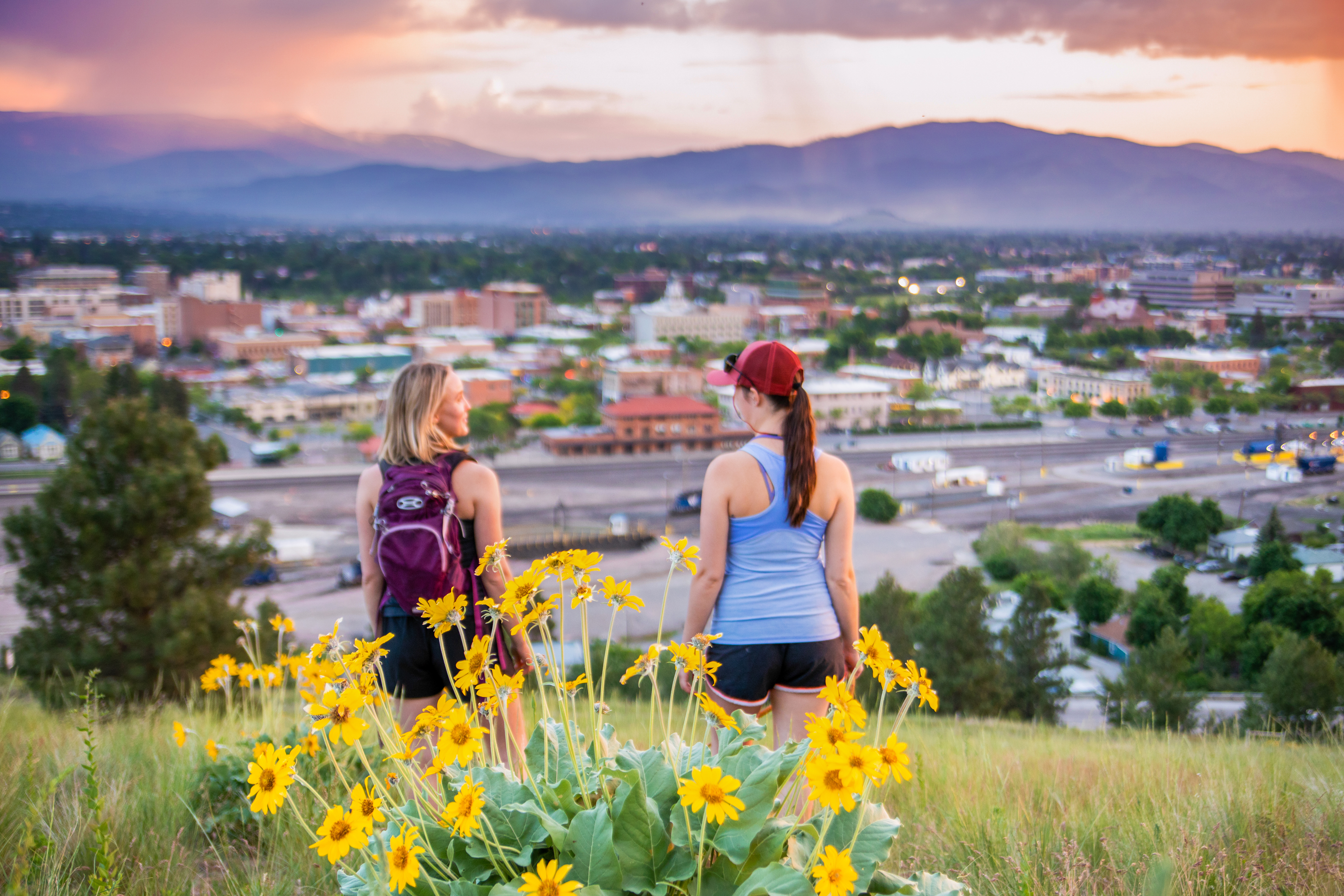 5 Popular Wildflowers in Missoula and Where to Find Them