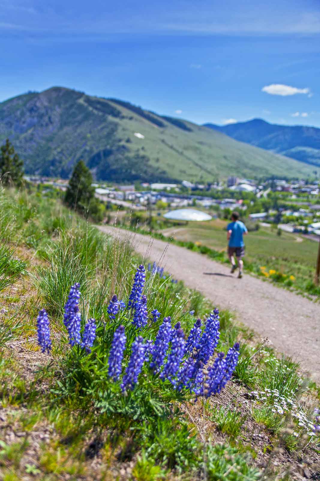 Summer in Missoula is... Destination Missoula