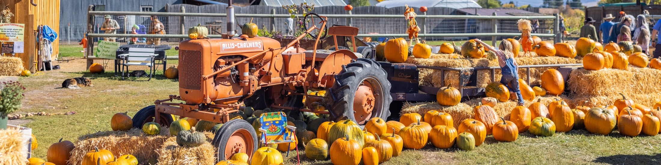 Halloween Events in Missoula: 2024