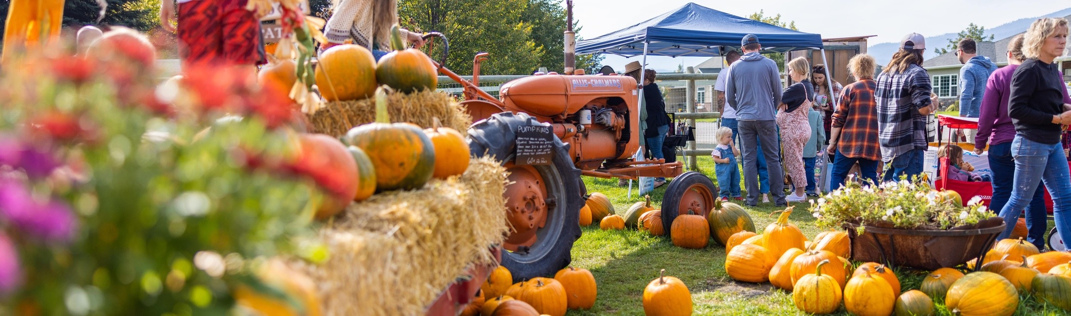Halloween Haunts and Happenings in Missoula: 2025