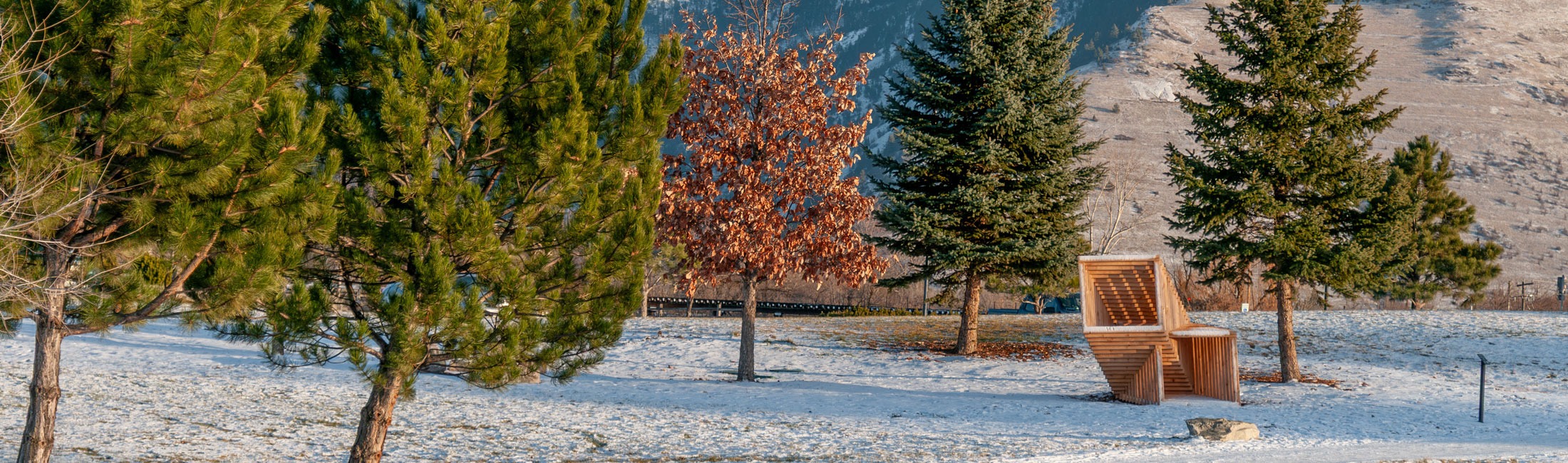 Discover Missoula's Sculpture Park